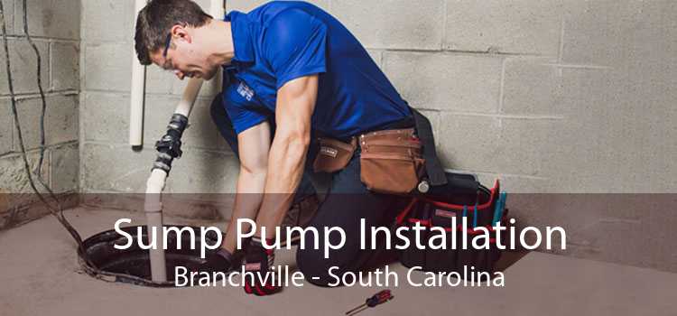 Sump Pump Installation Branchville - South Carolina