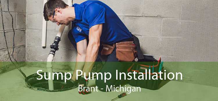 Sump Pump Installation Brant - Michigan