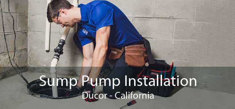 Sump Pump Installation Ducor - California