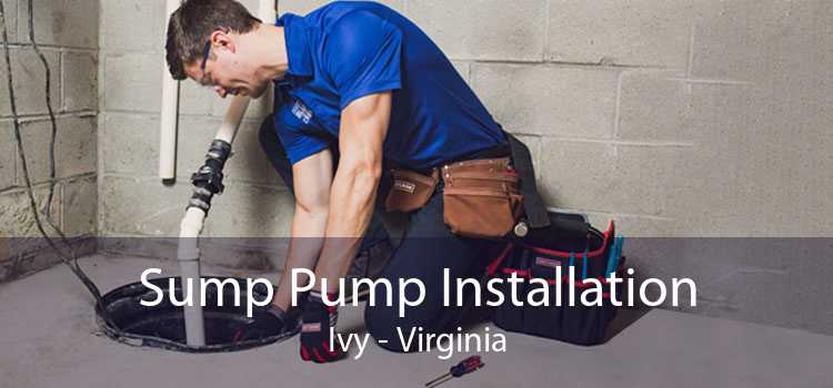 Sump Pump Installation Ivy - Virginia