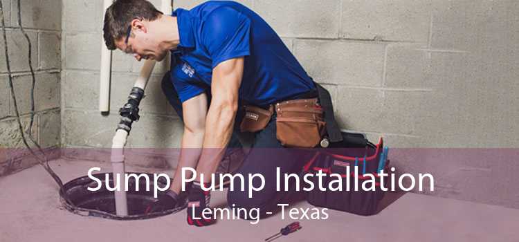 Sump Pump Installation Leming - Texas