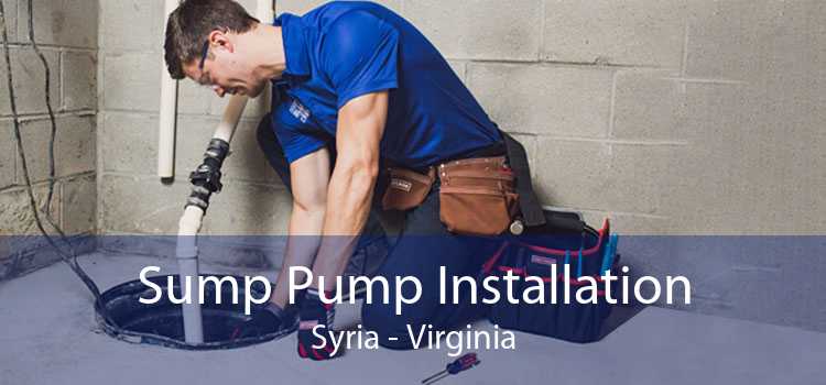 Sump Pump Installation Syria - Virginia