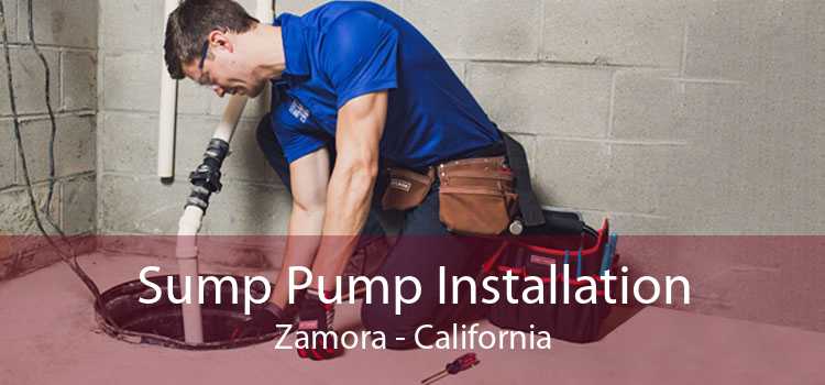 Sump Pump Installation Zamora - California