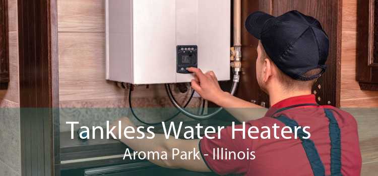Tankless Water Heaters Aroma Park - Illinois