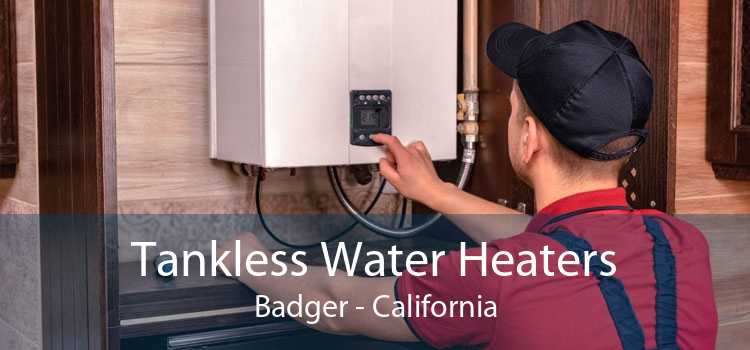 Tankless Water Heaters Badger - California