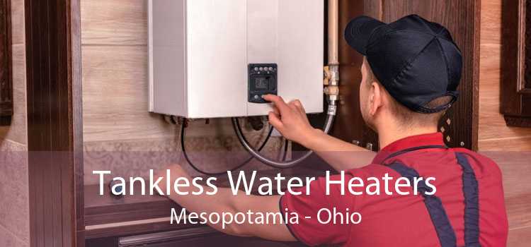 Tankless Water Heaters Mesopotamia - Ohio