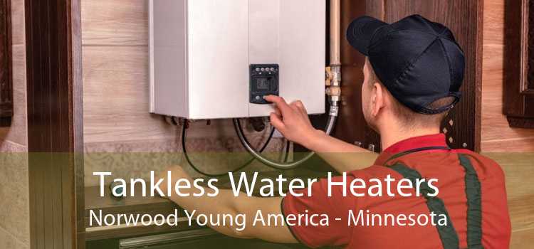 Tankless Water Heaters Norwood Young America - Minnesota