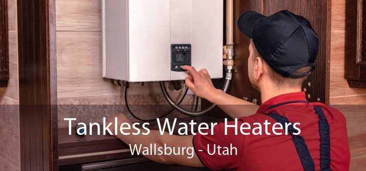 Tankless Water Heaters Wallsburg - Utah