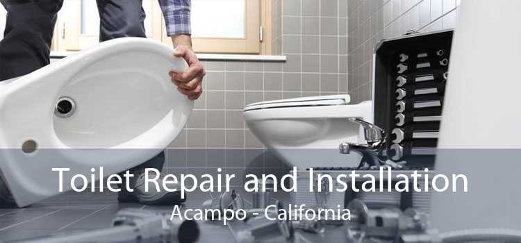 Toilet Repair and Installation Acampo - California