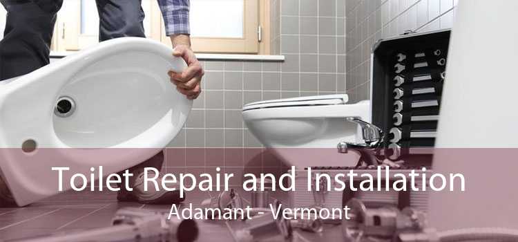 Toilet Repair and Installation Adamant - Vermont
