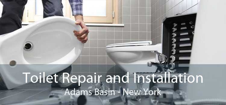 Toilet Repair and Installation Adams Basin - New York