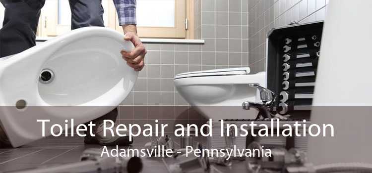 Toilet Repair and Installation Adamsville - Pennsylvania