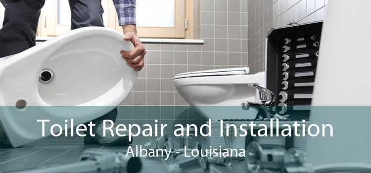 Toilet Repair and Installation Albany - Louisiana