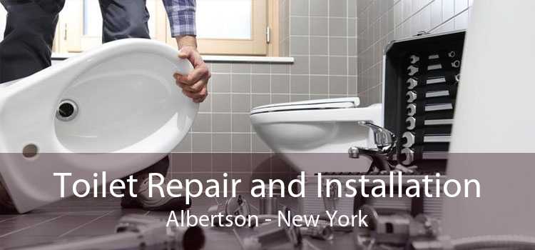Toilet Repair and Installation Albertson - New York