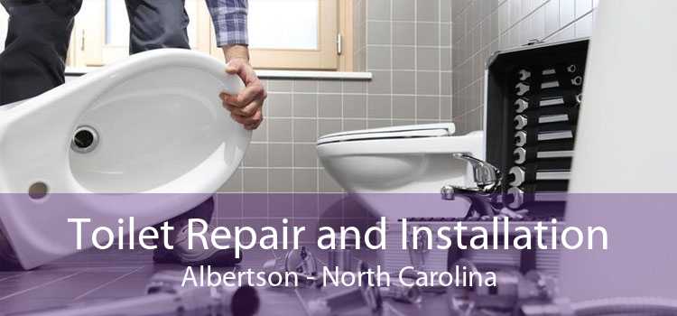 Toilet Repair and Installation Albertson - North Carolina