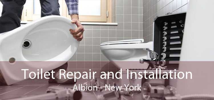 Toilet Repair and Installation Albion - New York