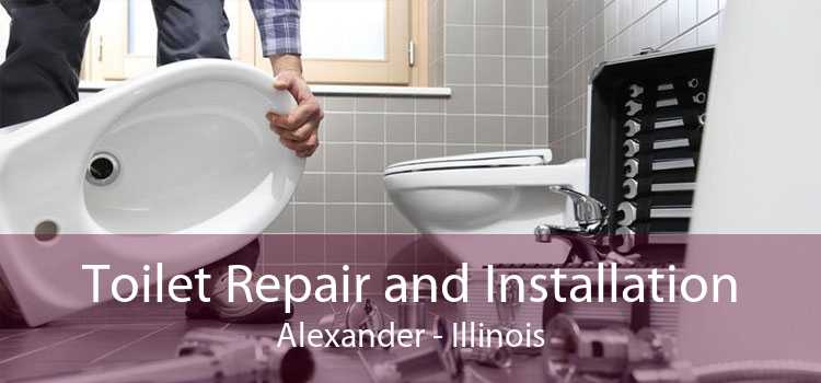 Toilet Repair and Installation Alexander - Illinois