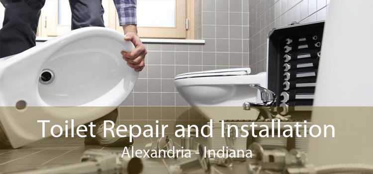 Toilet Repair and Installation Alexandria - Indiana
