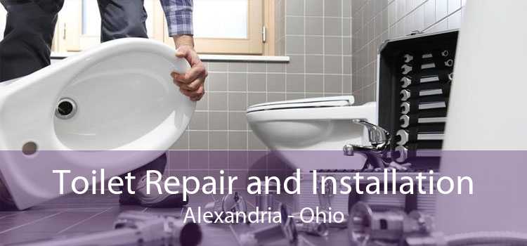 Toilet Repair and Installation Alexandria - Ohio