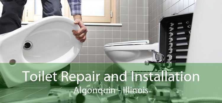 Toilet Repair and Installation Algonquin - Illinois