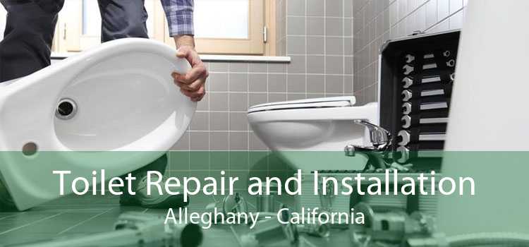 Toilet Repair and Installation Alleghany - California