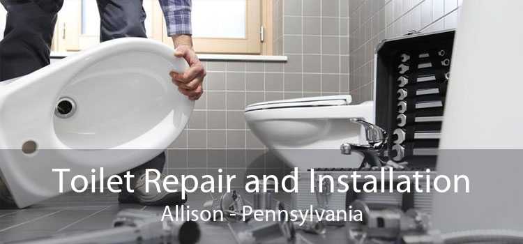 Toilet Repair and Installation Allison - Pennsylvania