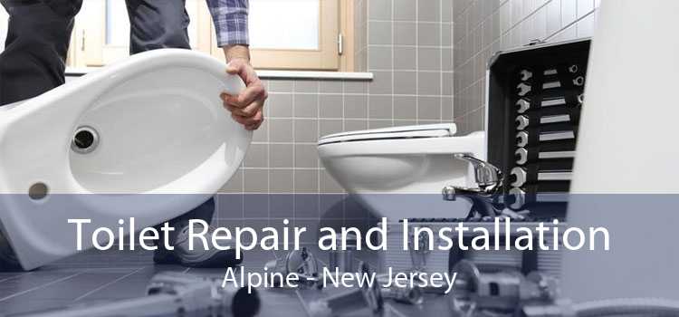 Toilet Repair and Installation Alpine - New Jersey