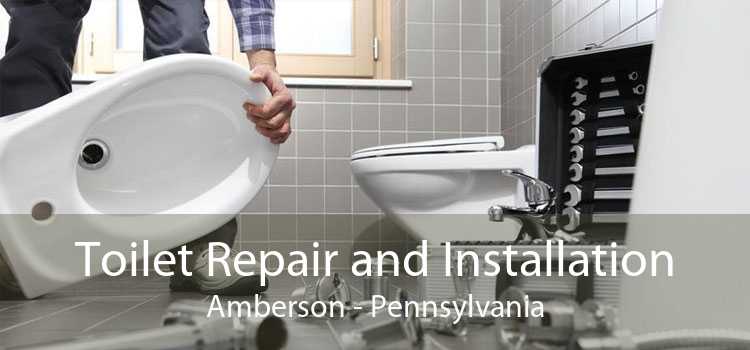 Toilet Repair and Installation Amberson - Pennsylvania