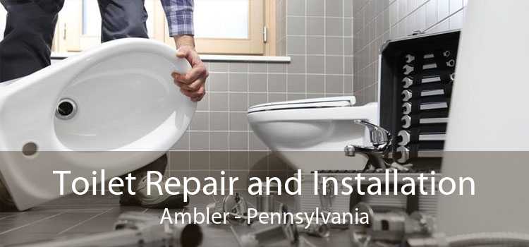 Toilet Repair and Installation Ambler - Pennsylvania