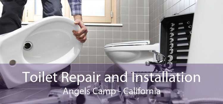 Toilet Repair and Installation Angels Camp - California