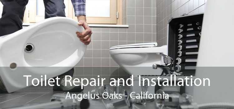 Toilet Repair and Installation Angelus Oaks - California