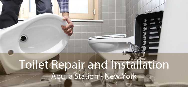 Toilet Repair and Installation Apulia Station - New York