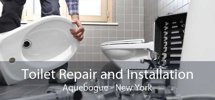Toilet Repair and Installation Aquebogue - New York