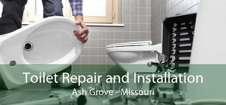 Toilet Repair and Installation Ash Grove - Missouri
