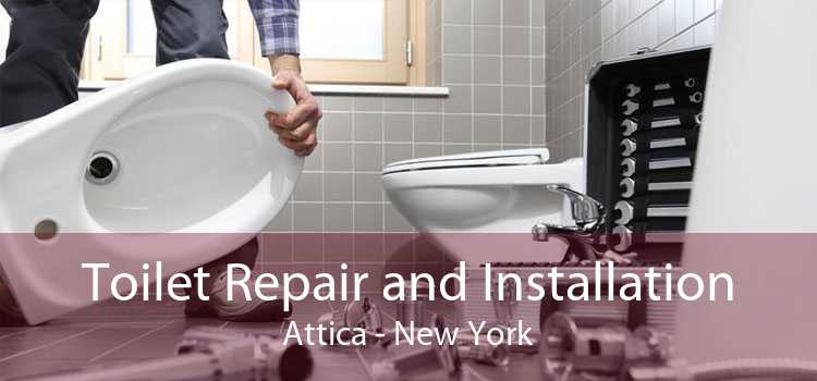 Toilet Repair and Installation Attica - New York