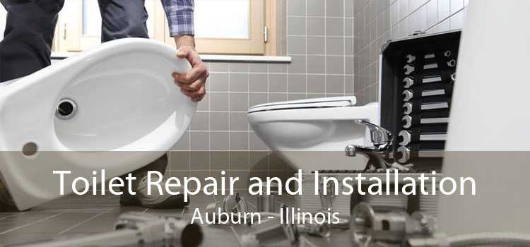 Toilet Repair and Installation Auburn - Illinois