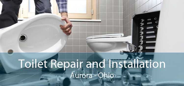 Toilet Repair and Installation Aurora - Ohio