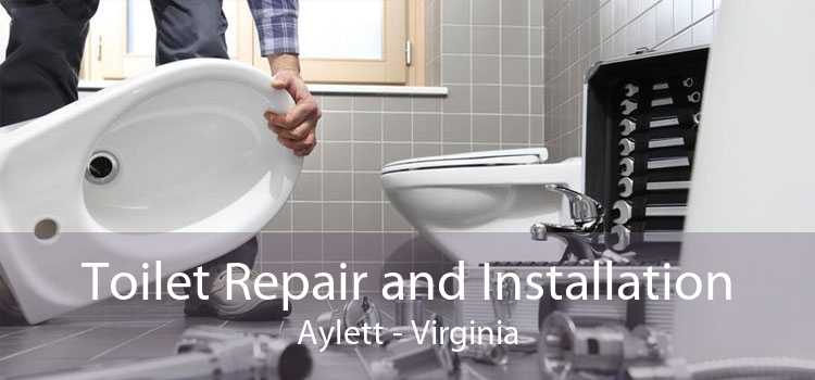 Toilet Repair and Installation Aylett - Virginia