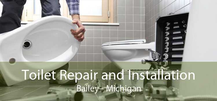 Toilet Repair and Installation Bailey - Michigan