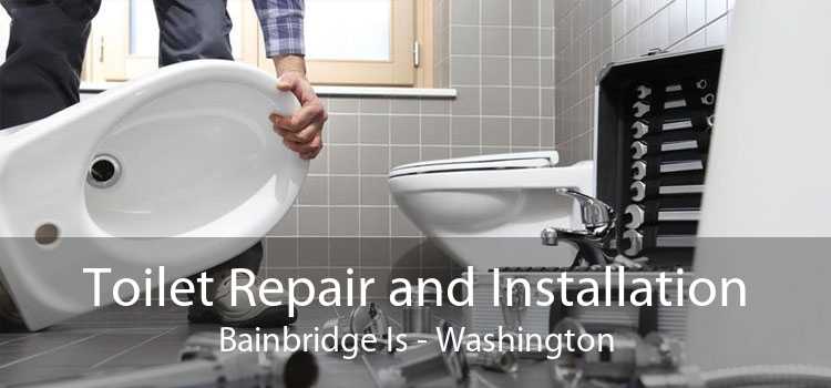 Toilet Repair and Installation Bainbridge Is - Washington