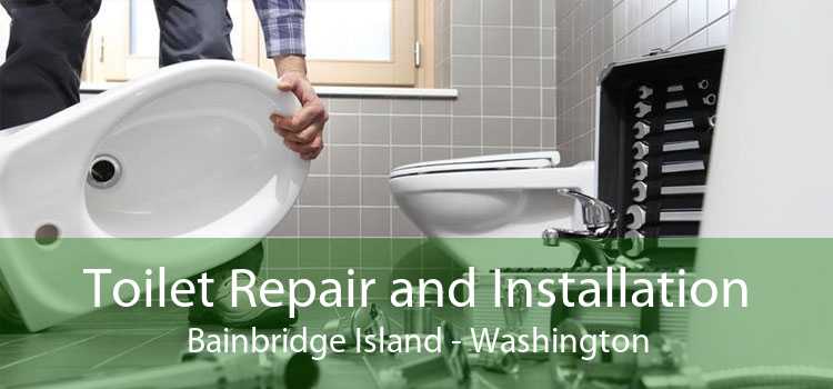 Toilet Repair and Installation Bainbridge Island - Washington
