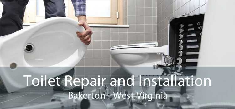 Toilet Repair and Installation Bakerton - West Virginia