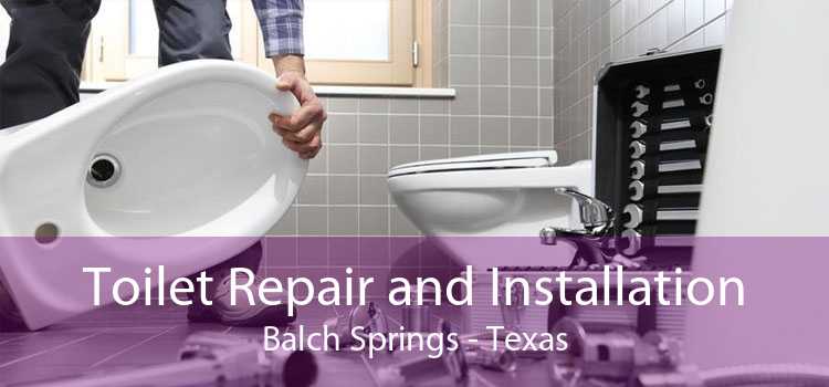 Toilet Repair and Installation Balch Springs - Texas