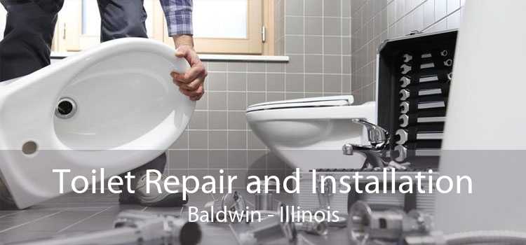 Toilet Repair and Installation Baldwin - Illinois