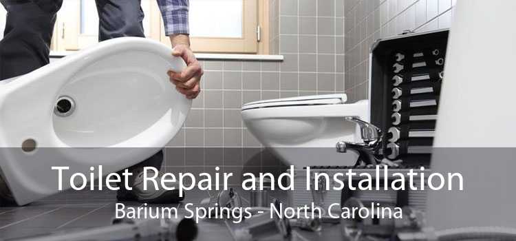 Toilet Repair and Installation Barium Springs - North Carolina