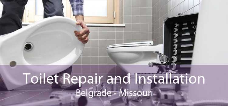 Toilet Repair and Installation Belgrade - Missouri