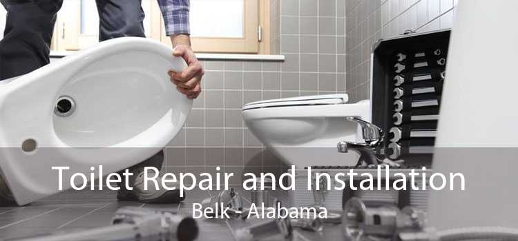 Toilet Repair and Installation Belk - Alabama