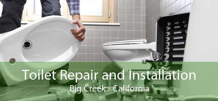 Toilet Repair and Installation Big Creek - California
