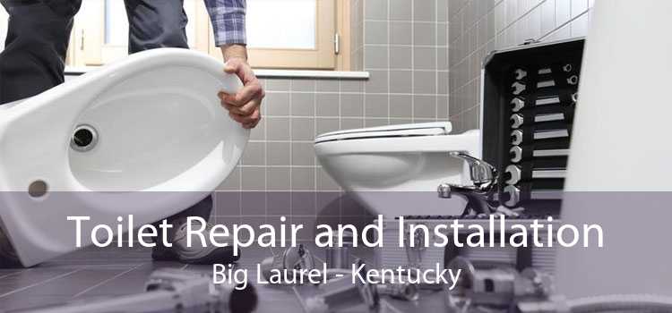 Toilet Repair and Installation Big Laurel - Kentucky