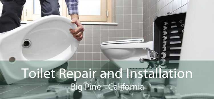 Toilet Repair and Installation Big Pine - California